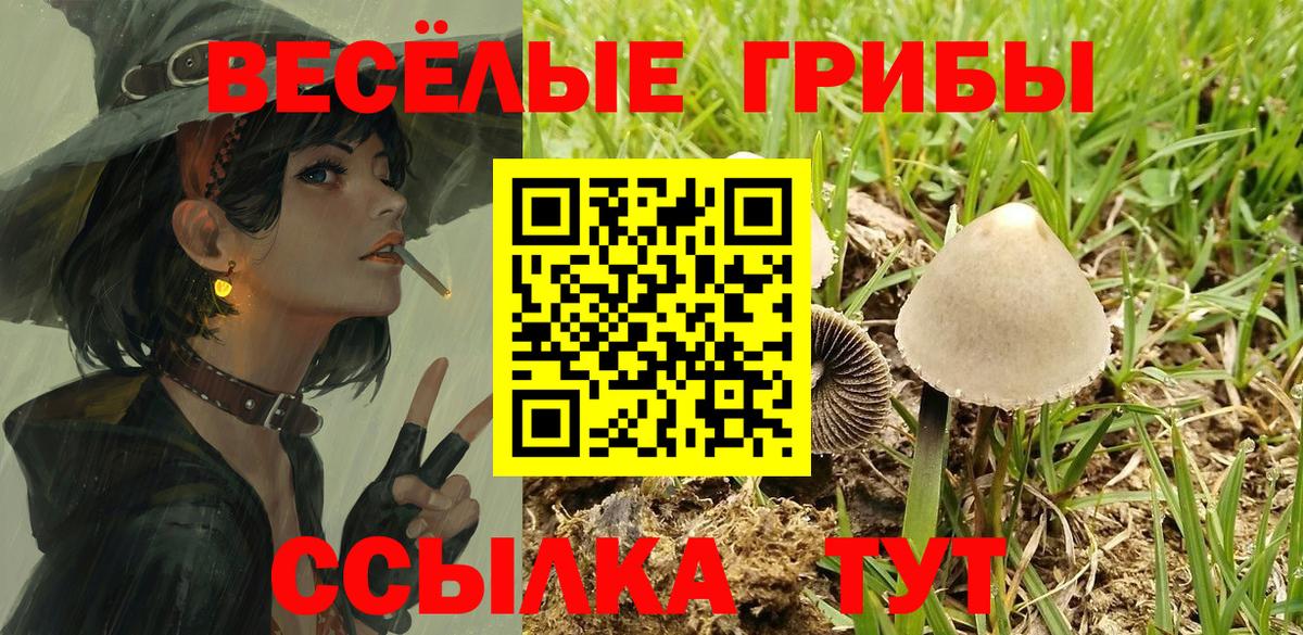 Кулебаки  Галлюциногенные грибы мицелий  Вход с VPN  Галлюциногенные грибы мицелий 